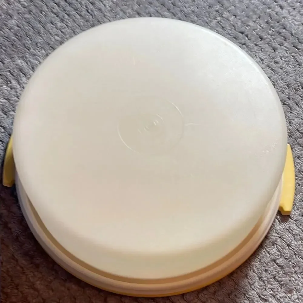 Vintage cake taker Tupperware